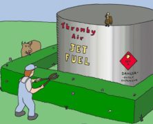 Fuel Hedging